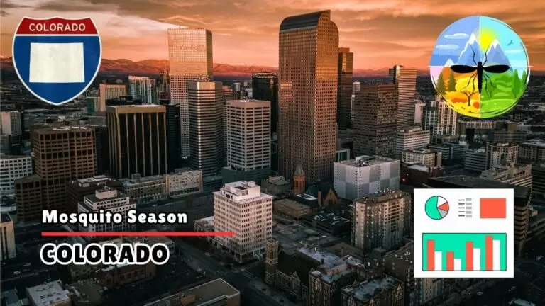 Mosquitoes in Colorado - Colorado Mosquito Season Start, Peak & Climate Trends