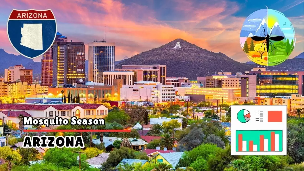 Mosquitoes in Arizona Arizona Mosquito Season 2026 Start, Peak & Climate Trends