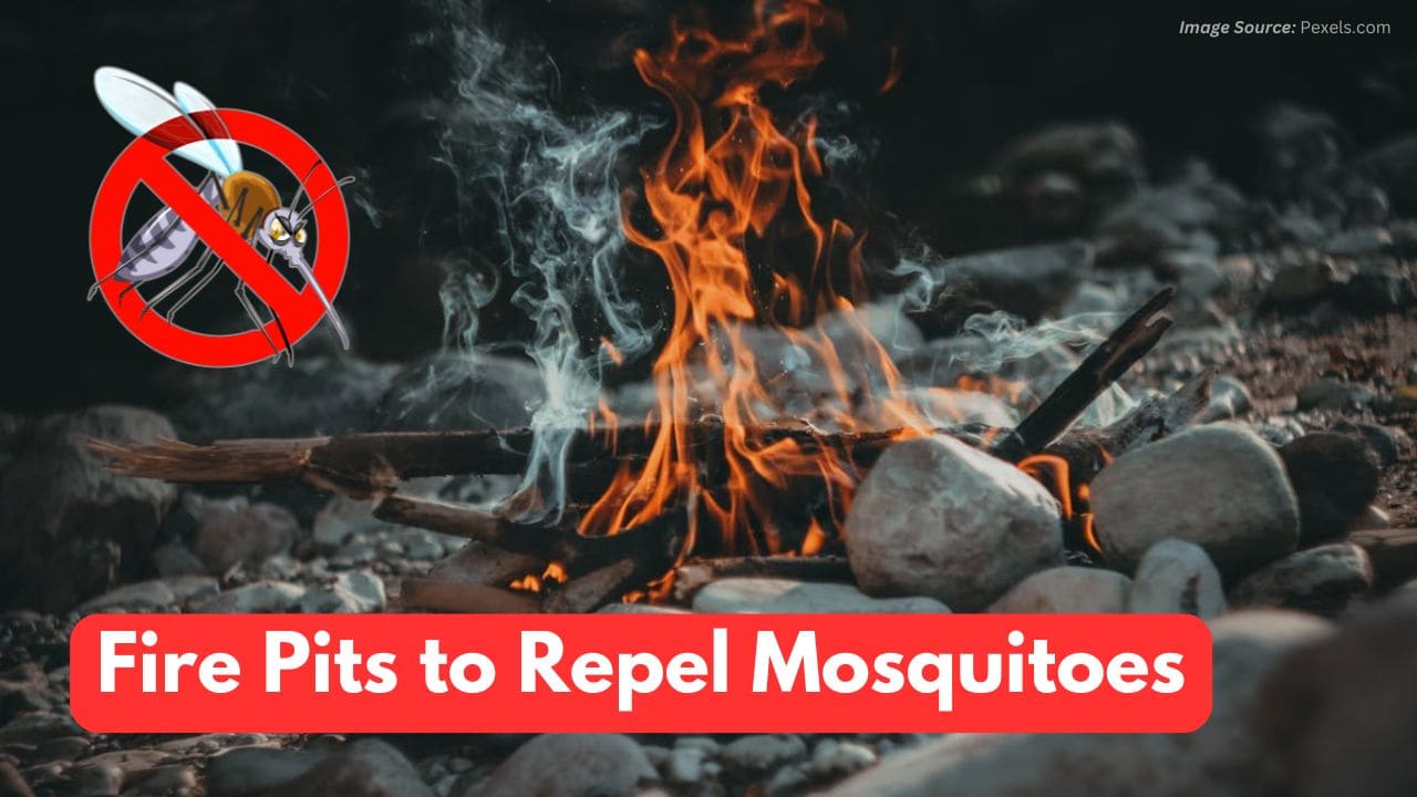 Do Fire Pits Repel Mosquitoes