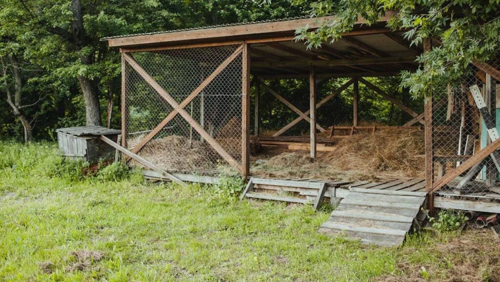 Empty chicken coop before insecticide spray