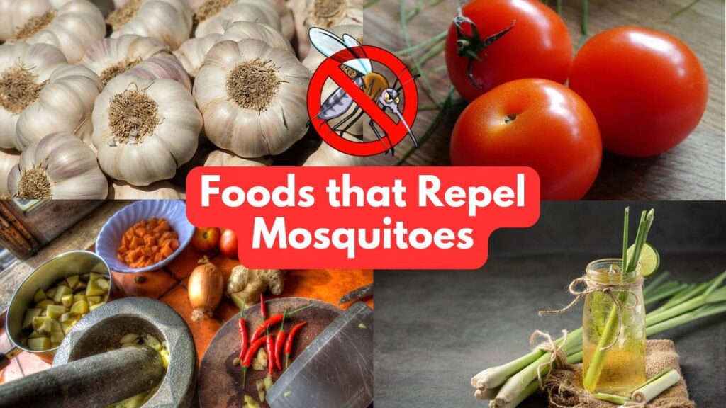 Foods that Repel Mosquitoes