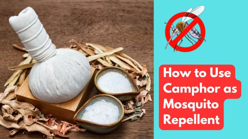 How to use Camphor as Mosquito Repellent