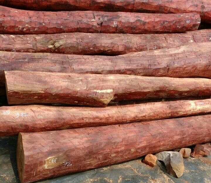 Red Sandalwood Logs