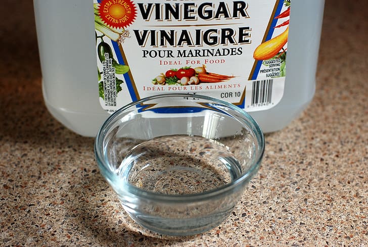 How to use vinegar to kill mosquito larvae