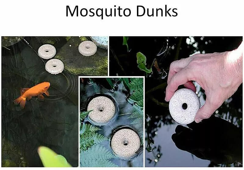 Mosquito dunks in use