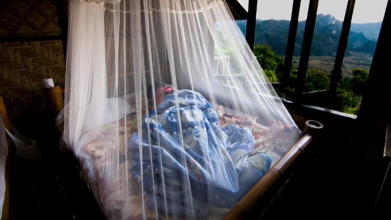 Mosquito nets for beds