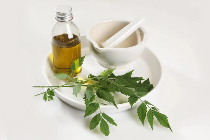 Neem oil as mosquito repellent