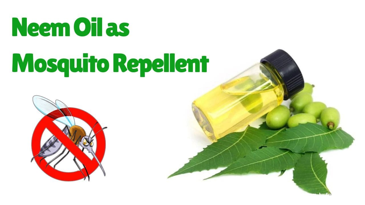 Use Neem Oil as Mosquito Repellent