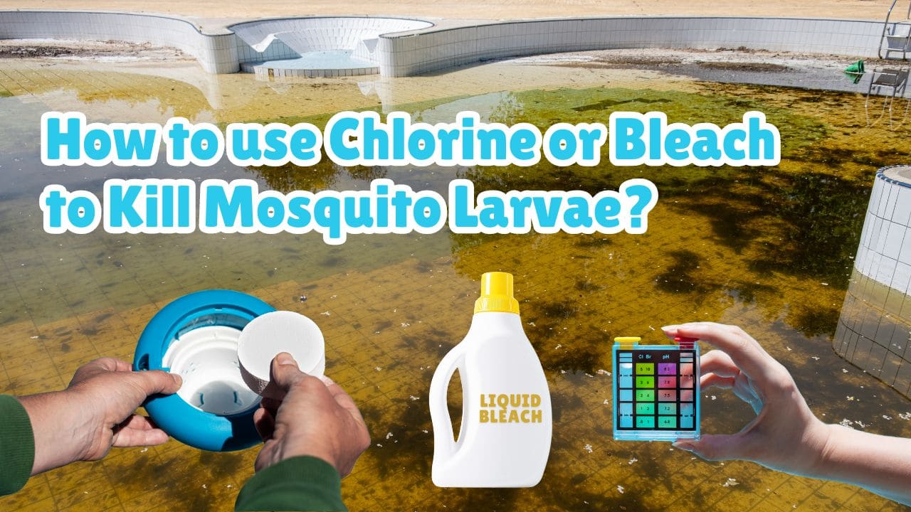 Can chlorine or bleach kill mosquito larvae