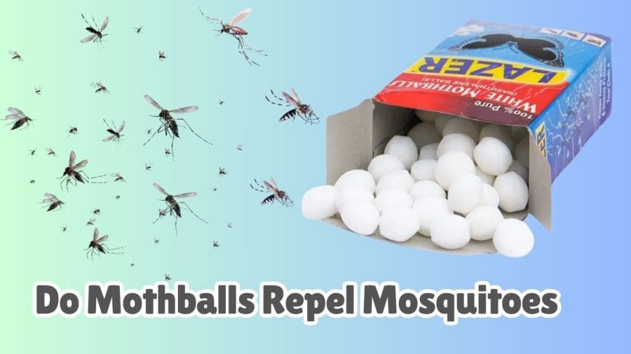 Do mothballs keep mosquitoes away