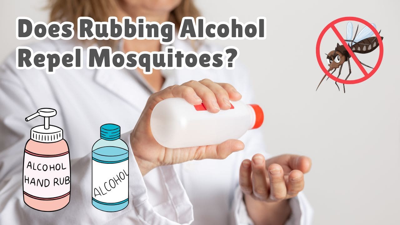 Does rubbing alcohol repel mosquitoes