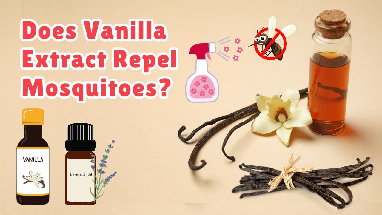 Does vanilla extract repel mosquitoes