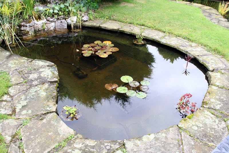 Garden Pond