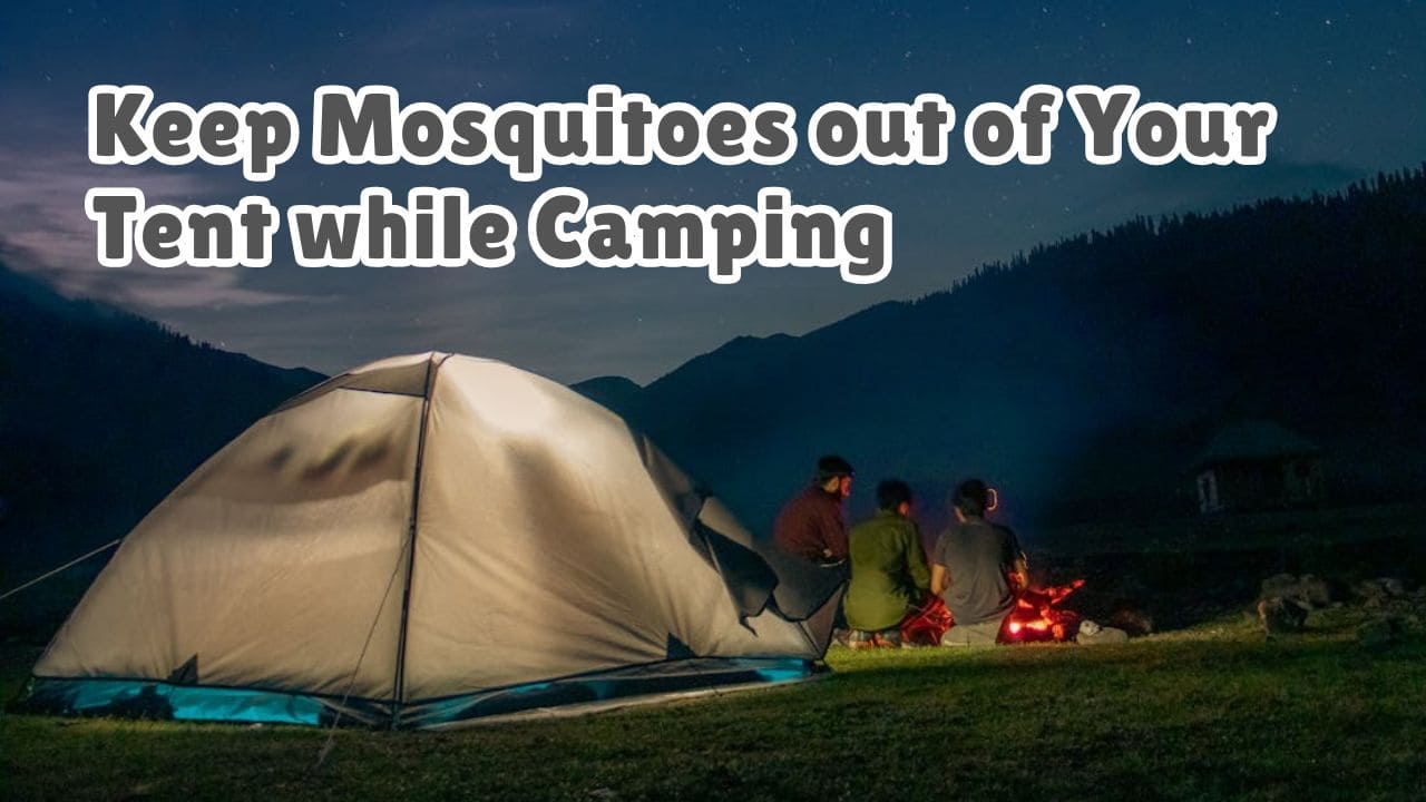 How to Keep Mosquitoes Out of Your Tent While Camping