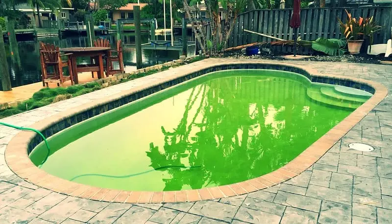 How to shock your pool that is green