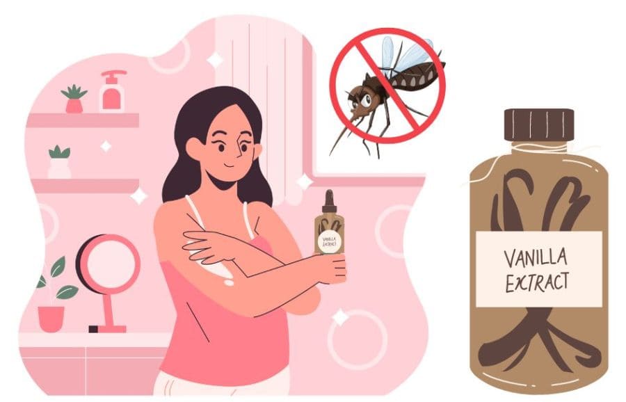 How to use vanilla extract to keep mosquitoes away