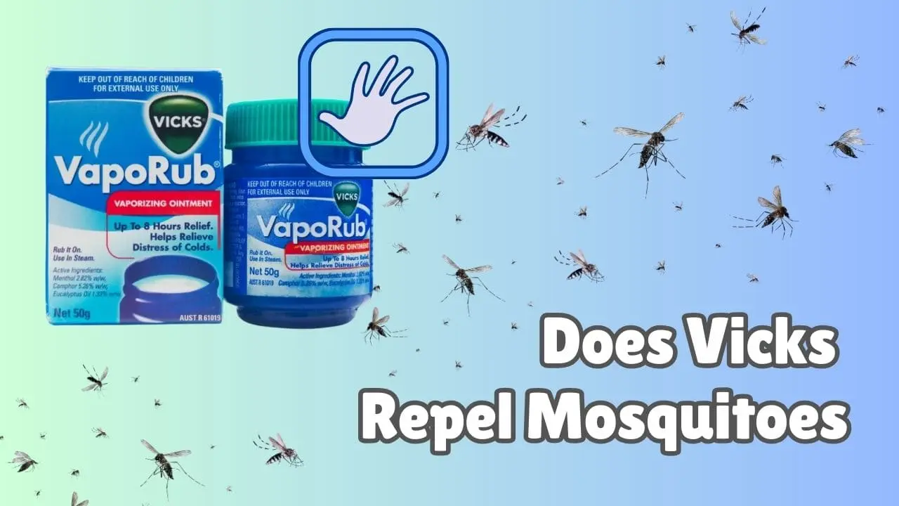 Vicks Vaporub to Keep Mosquitoes Away