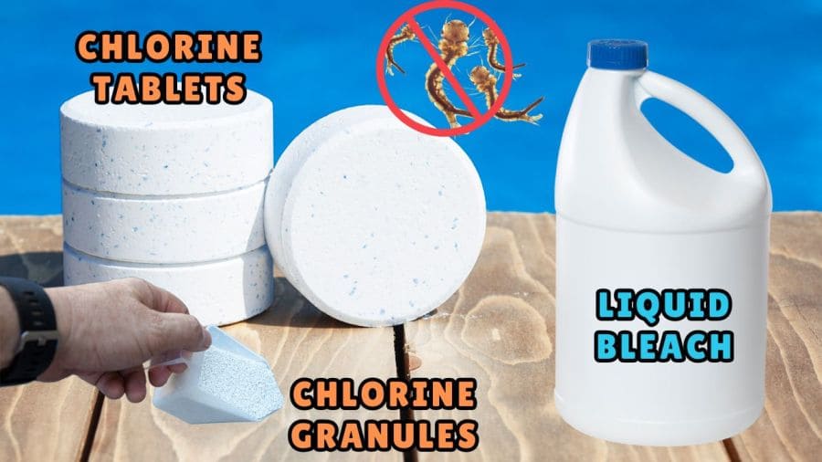 Which is better for pools - Chlorine or Liquid bleach