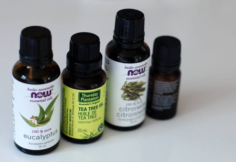 Best essential oil to treat mosquito bites​