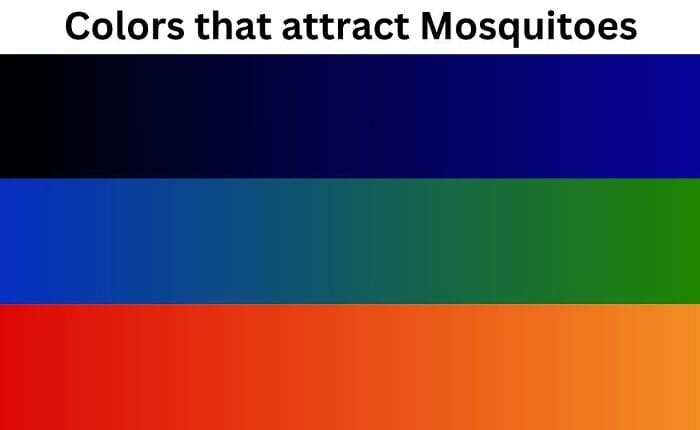 Colors that attract mosquitoes​