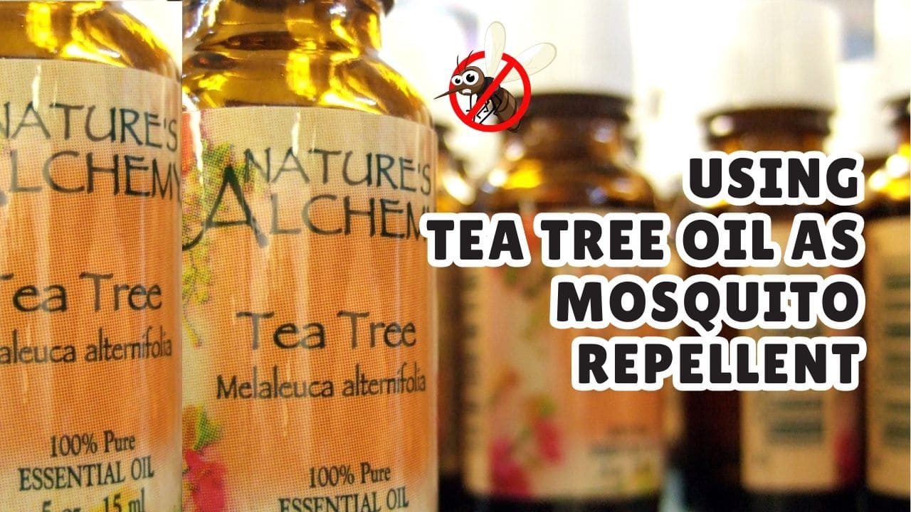 How to Use Tea Tree Oil as Mosquito Repellent