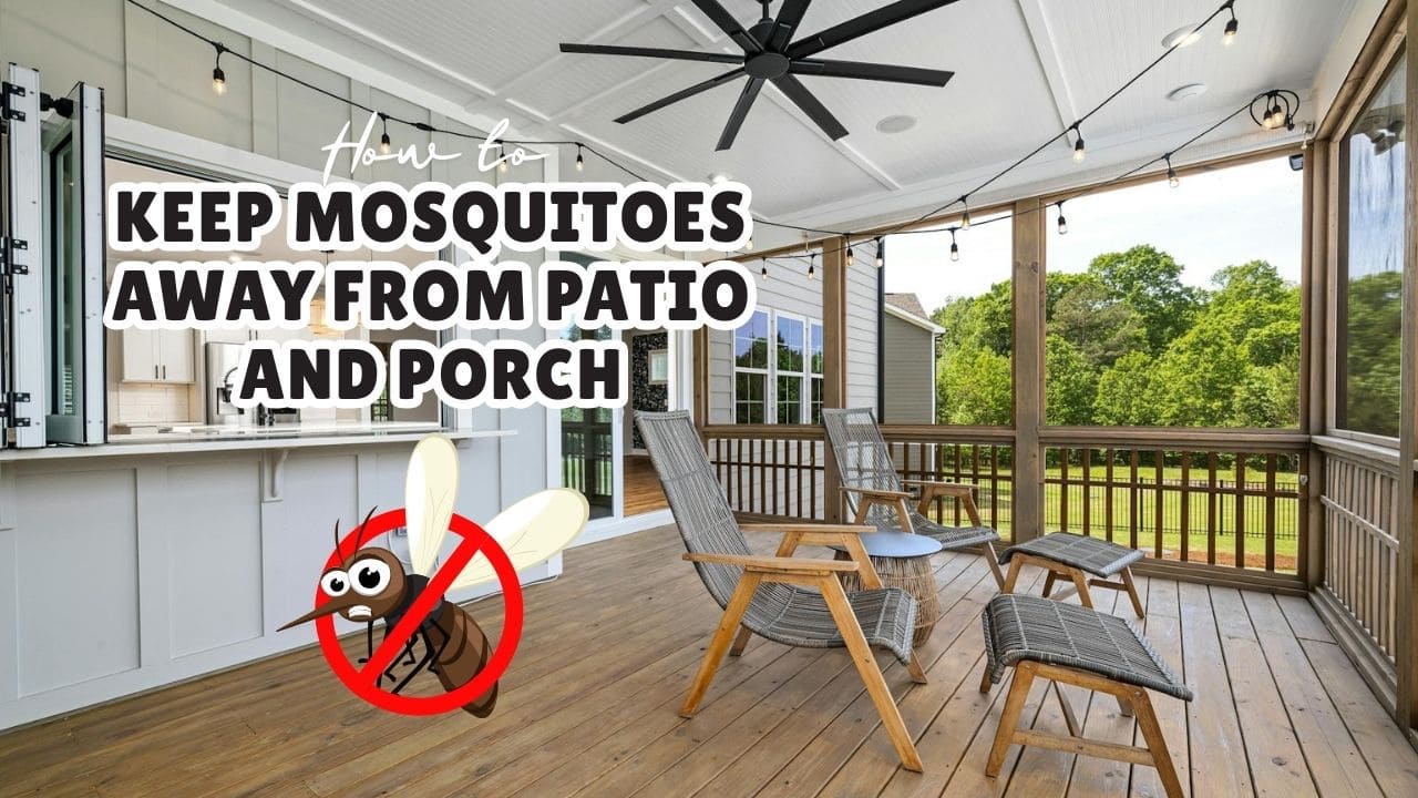 Keep Mosquitoes Away from Patio and Porch while Sitting Outside