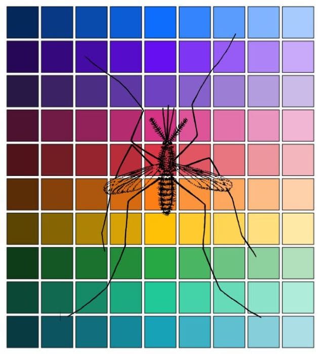 What Colors are Mosquitoes Attracted to