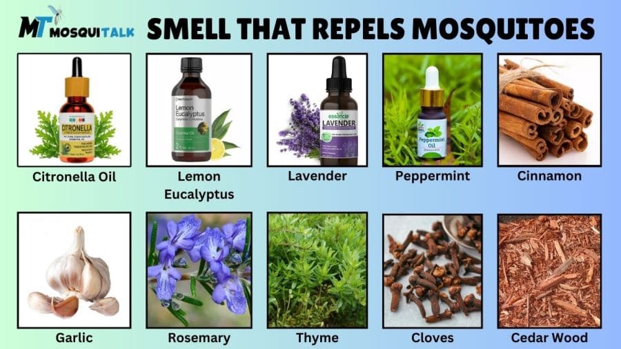 What Kind of Smell Repels Mosquitoes​?