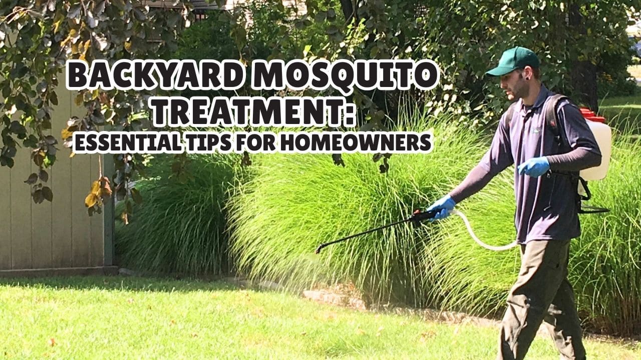 Backyard Mosquito Treatment Essential Tips for Homeowners