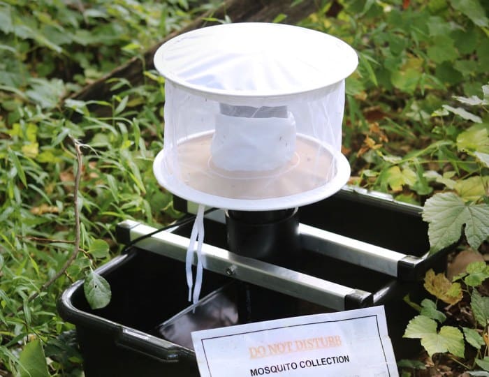 CDC Gravid Mosquito Trap