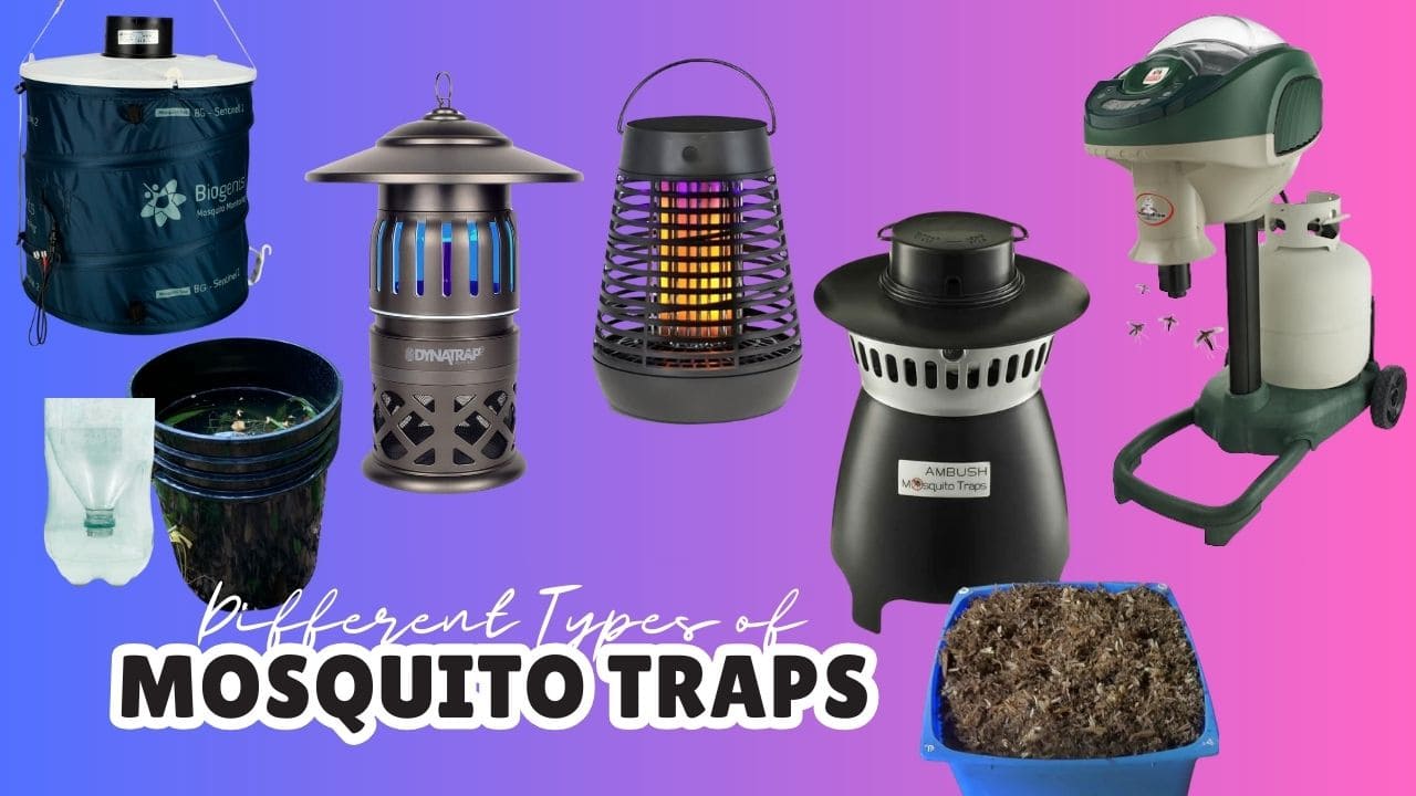 Mosquito Traps : Different Types and their Working Mechanism - MosquiTalk