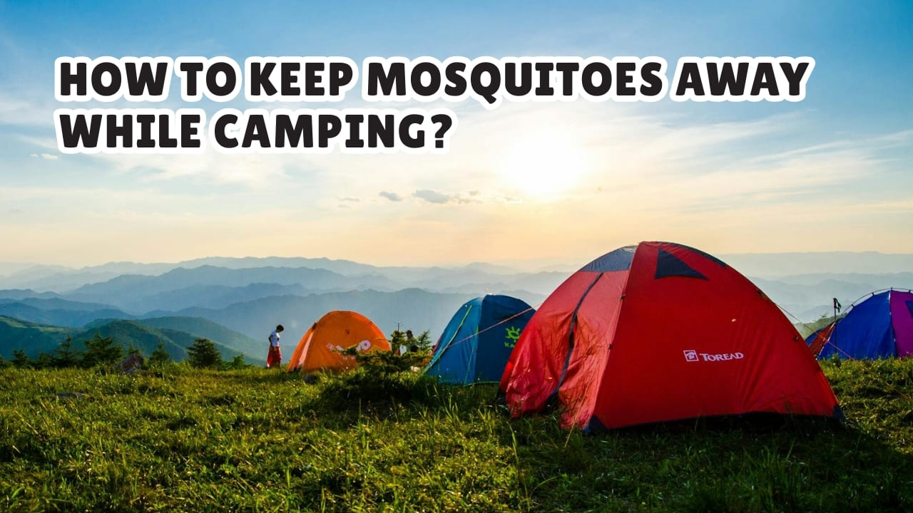 How to Keep Mosquitoes Away While Camping?