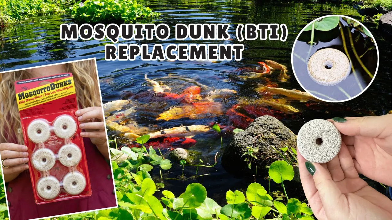 How Often to Replace Mosquito Dunks in Aerated Ponds