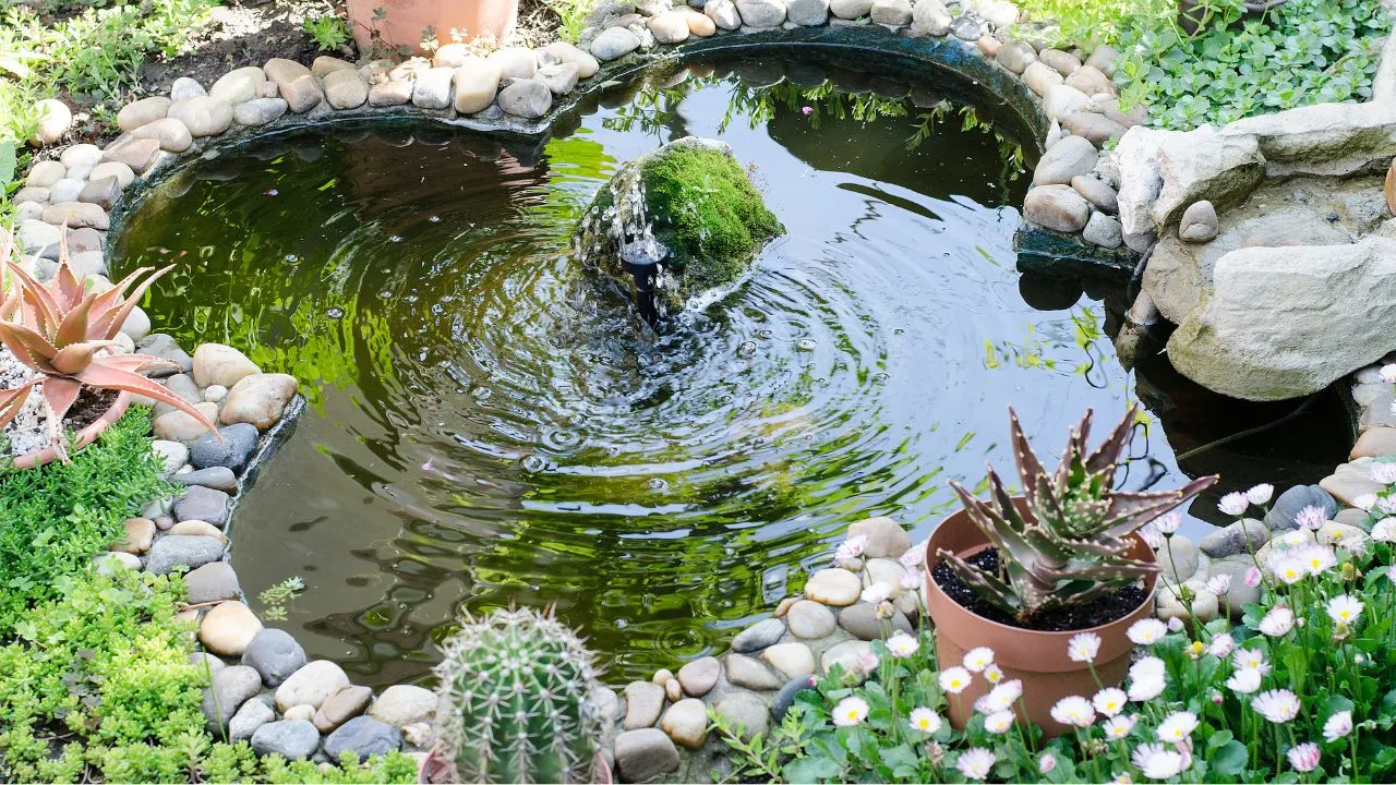 Top 10 Pond Mosquito Killer Techniques and Methods You Must Follow