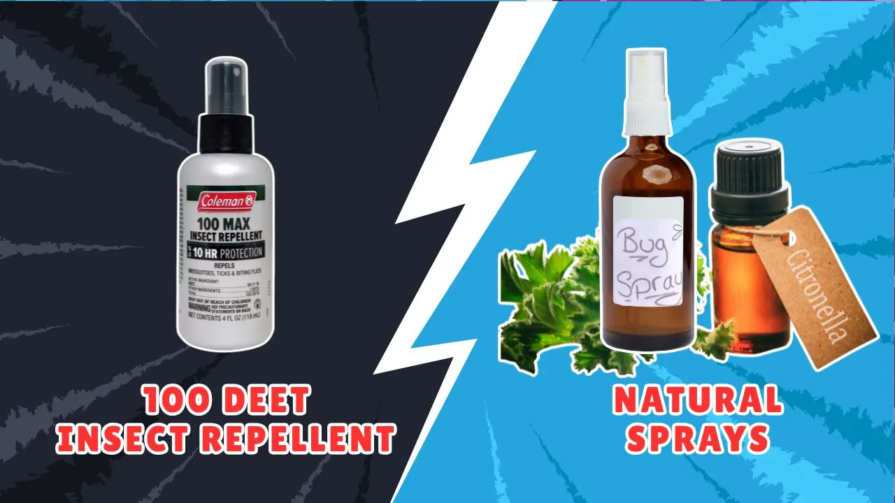 100 DEET Insect Repellent vs Natural Sprays