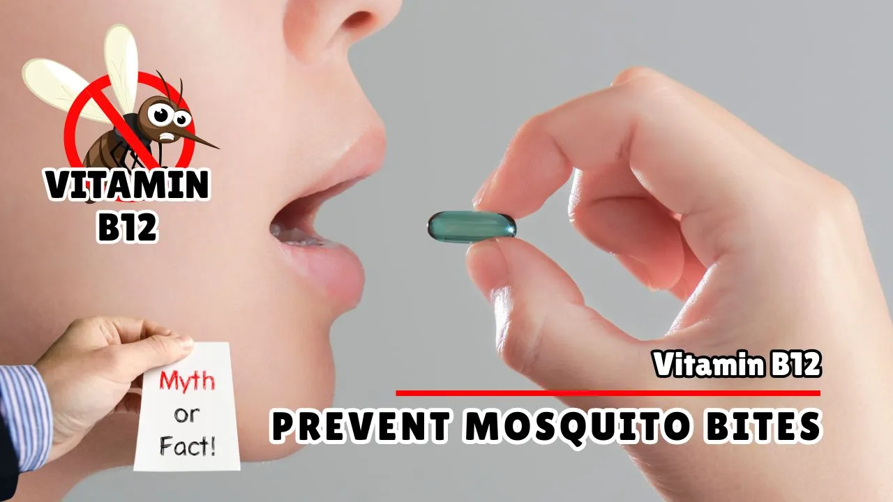 Does Vitamin B12 Prevent Mosquito Bites