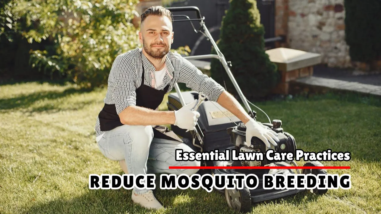 Lawn Care Practices to Reduce Mosquito Hiding Spots