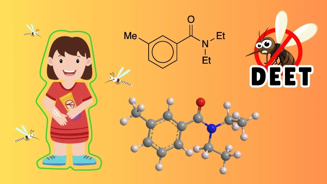 What is DEET How It Works on Mosquitoes