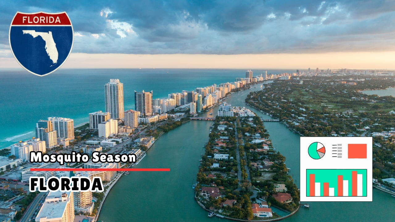 Mosquito Season in Florida - Peak Activity and Disease Trends