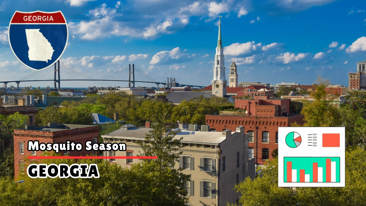 Mosquitoes in Georgia: Season Start, Peak Months and Risk Levels