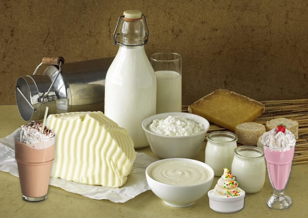 Dairy Products and Ice Cream