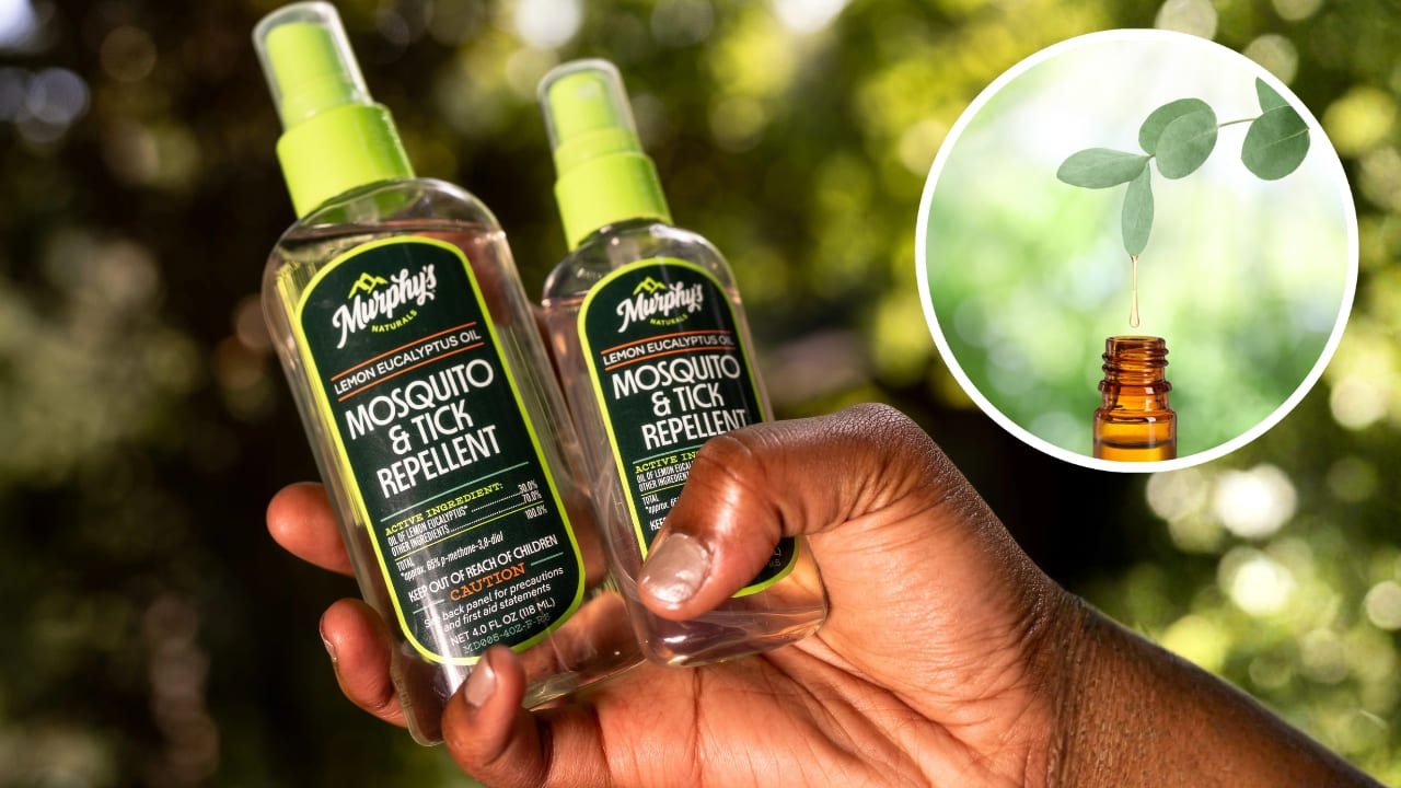 Lemon Eucalyptus Oil The Natural Way to Keep Mosquitoes Away