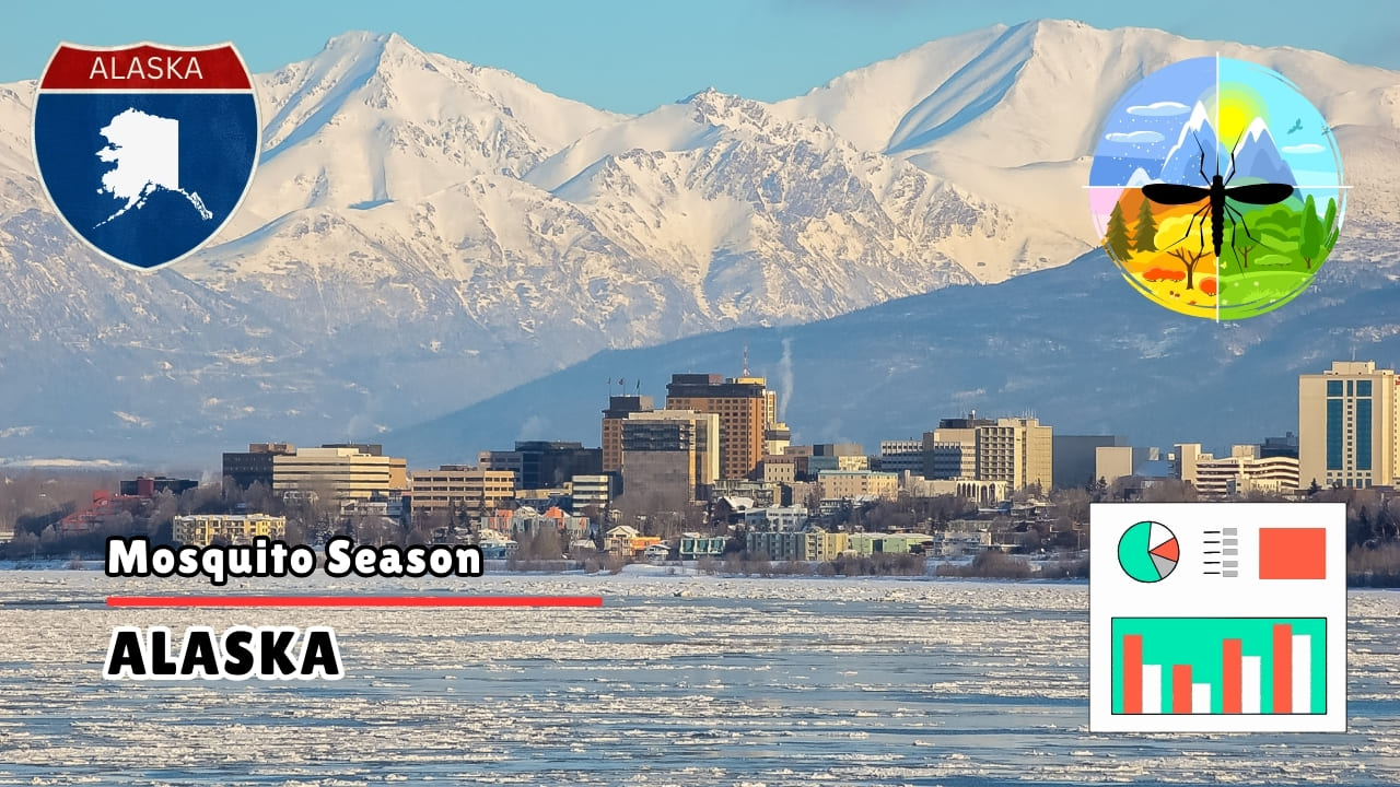 Mosquitoes in Alaska - Peak Mosquito Season and Prevention Guide