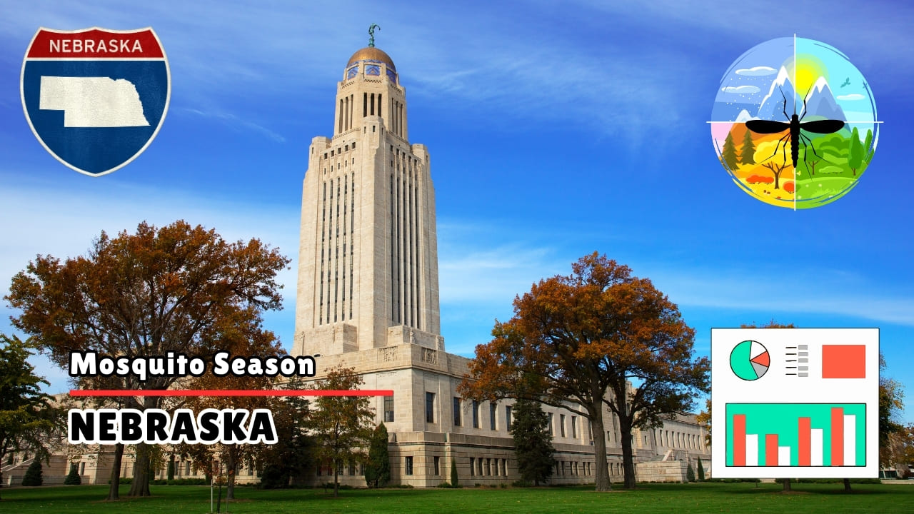 Mosquitoes in Nebraska - Mosquito Season and Peak Months