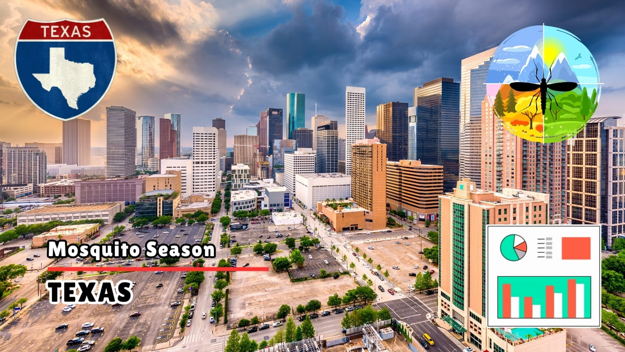 Mosquitoes in Texas - Complete Guide to Mosquito Season & Prevention