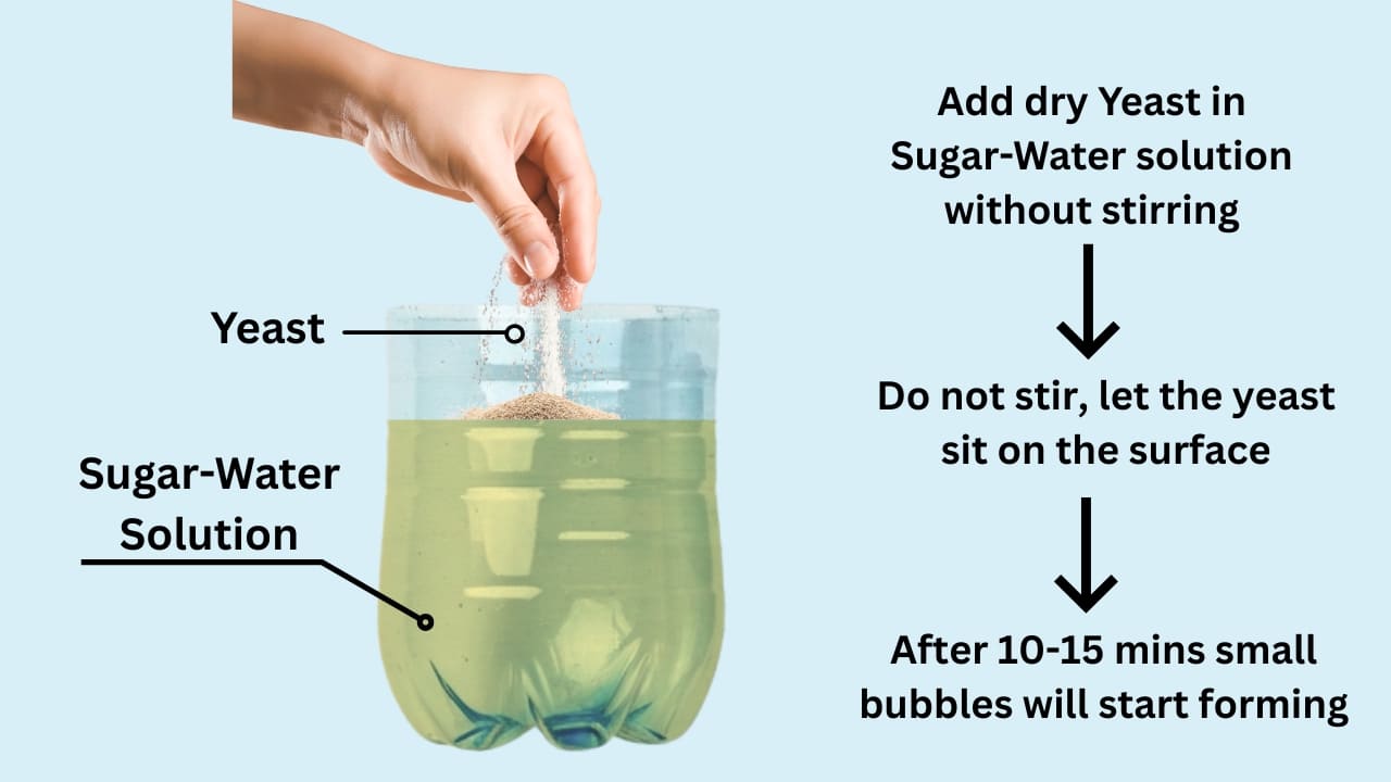 Add the Yeast to Sugar-Water Solution