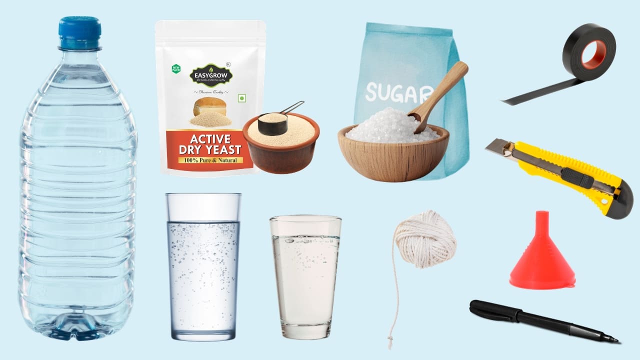 Materials Required for Homemade Mosquito Trap with Sugar and Yeast