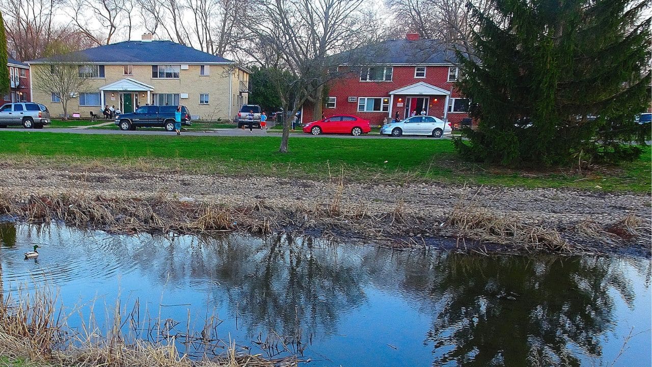 Living Near a Retention Pond How to Control Backyard Mosquitoes
