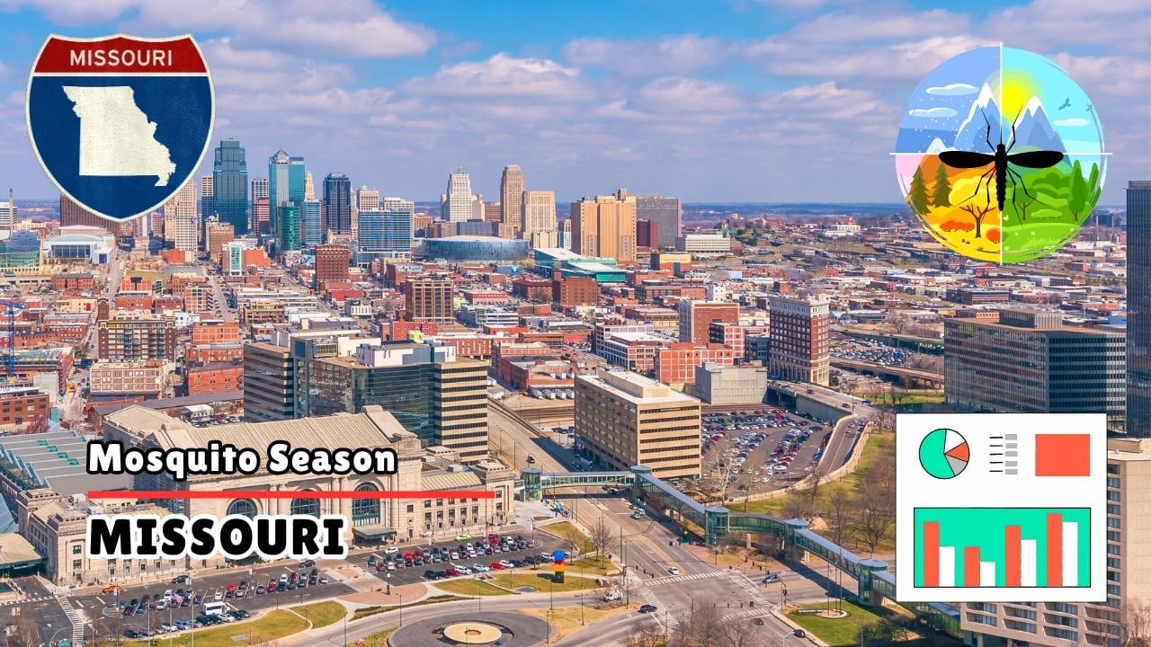 Mosquito Season in Missouri - Peak Months, Risks and Disease Trends