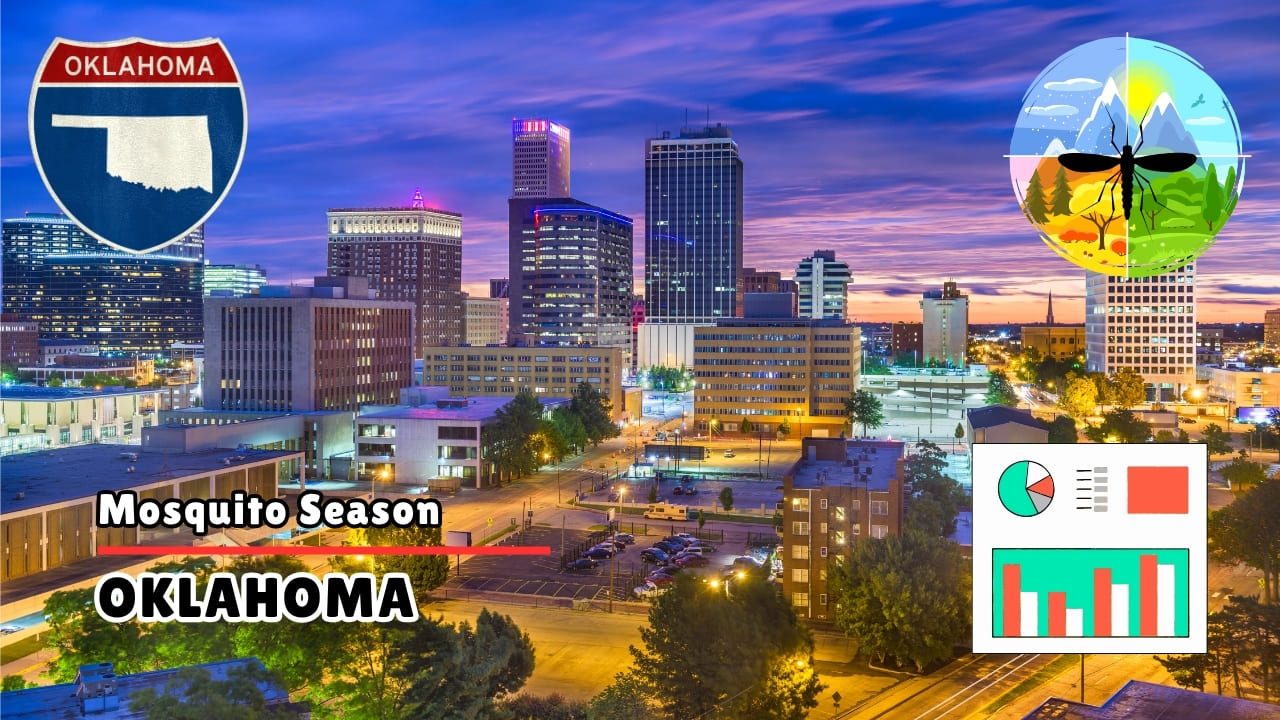 Mosquito Season in Oklahoma 2026 Start, Peak & Climate Trends